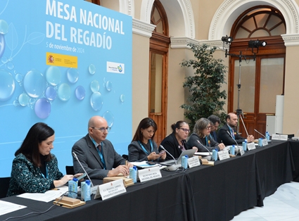 Segunda reunión del pleno de la Mesa Nacional del Regadío foto 6