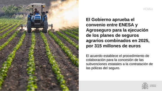 Hoy, en Consejo de Ministros 