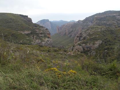 Vista de Los Mallos de Riglos a través del barranco de los Clérigos