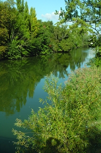 Río Arga desde el puente del Plazaola