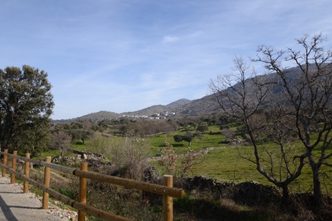 Paisaje de dehesas. Al fondo Segura de Toro