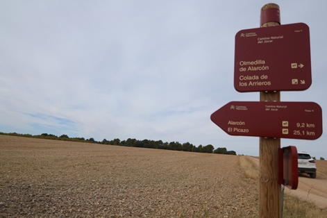 Desvío a Olmedilla de Alarcón, entre campos de cultivo