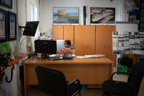 Encargada de gestión de la Cofradía de Pescadores de San Cristóbal de la Laguna