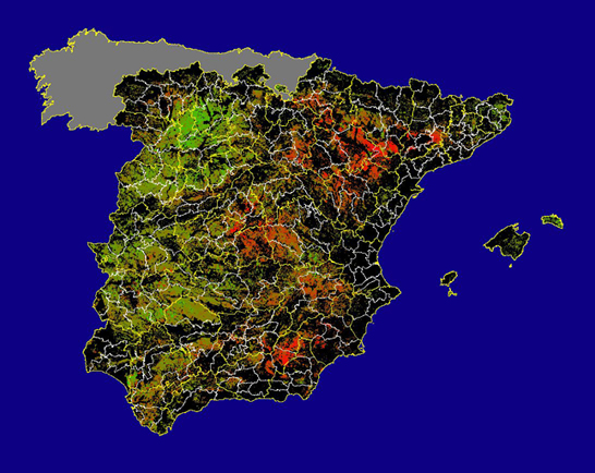 Imagen de las Diferencias acumuladas NDVI: Comparativa entre los índices de vegetación acumulados de enero a junio del año actual y los de la media histórica