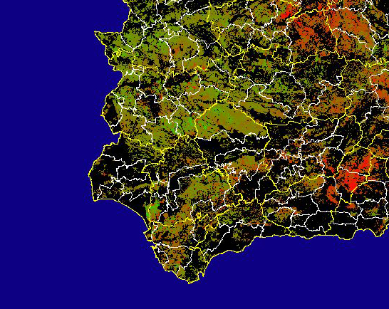 Imagen de Diferencias acumuladas NDVI: Comparativa entre los índices de vegetación acumulados de enero a junio del año actual y los de la media histórica