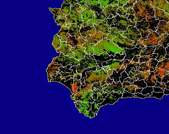 Imagen de NDVI medio secano: Índices de vegetación medios del mes para las zonas de cultivos de secano y pastizales - Suroeste