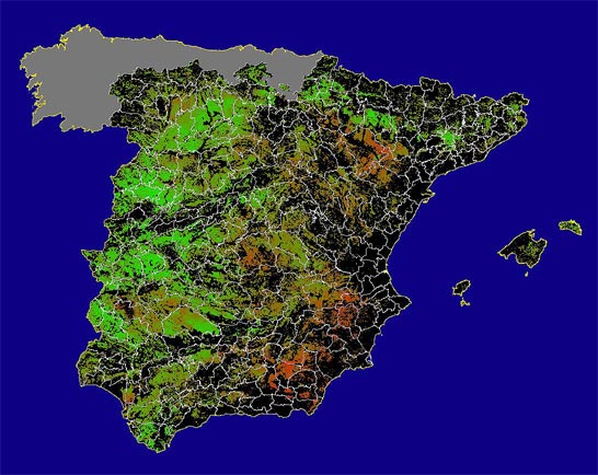 Imagen de NDVI medio secano: Índices de vegetación medios del mes para las zonas de cultivos de secano y pastizales