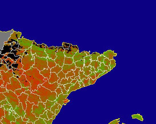 Imagen de NDVI medio mensual: Índices de vegetación medios del mes - Noreste