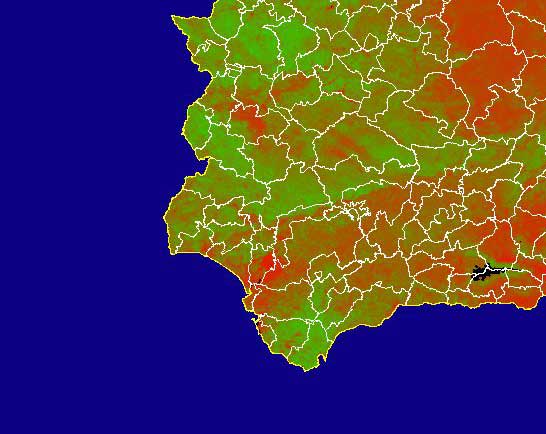 Imagen de NDVI medio mensual: Índices de vegetación medios del mes - Suroeste