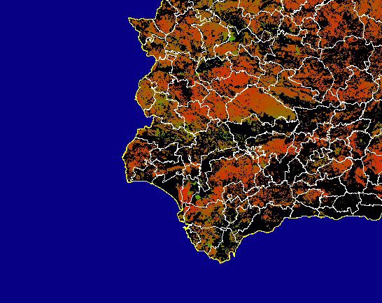 Imagen de NDVI medio secano: Índices de vegetación medios del mes para las zonas de cultivos de secano y pastizales