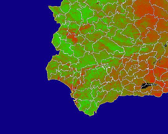 Imagen de NDVI medio mensual: Índices de vegetación medios del mes - Suroeste