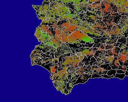 Imagen de NDVI medio secano: Índices de vegetación medios del mes para las zonas de cultivos de secano y pastizales