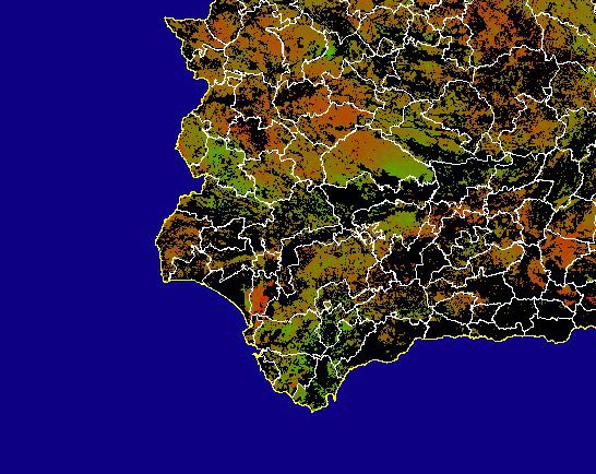 Imagen de NDVI medio secano: Índices de vegetación medios del mes para las zonas de cultivos de secano y pastizales