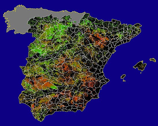 Imagen de NDVI medio secano: Índices de vegetación medios del mes para las zonas de cultivos de secano y pastizales