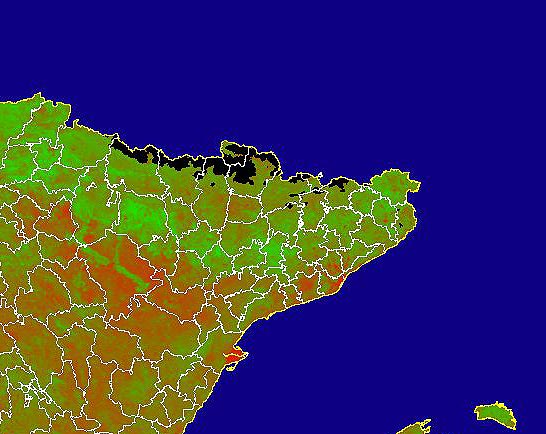 Imagen de NDVI medio mensual: Índices de vegetación medios del mes - Noreste