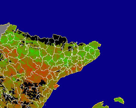 Imagen de NDVI medio mensual: Índices de vegetación medios del mes - Noreste