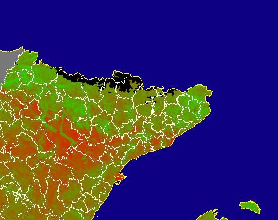 Imagen de NDVI medio mensual: Índices de vegetación medios del mes - Noreste