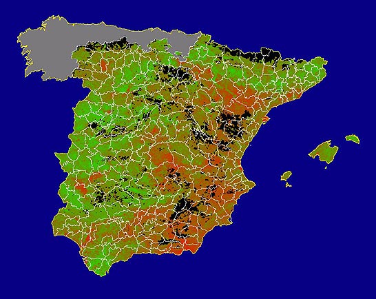 Imagen de NDVI medio mensual: Índices de vegetación medios del mes