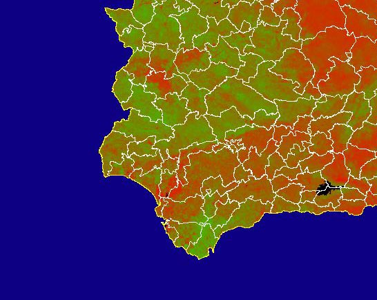 Imagen de NDVI medio mensual: Índices de vegetación medios del mes - Suroeste