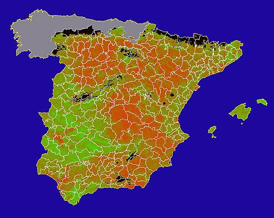 Imagen de NDVI medio mensual: Índices de vegetación medios del mes