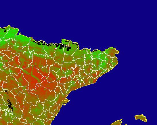 Imagen de NDVI medio mensual: Índices de vegetación medios del mes