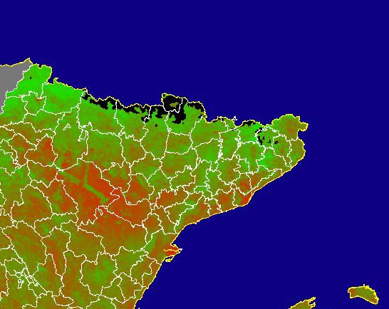 Imagen del NDVI medio mensual: Índices de vegetación medios del mes