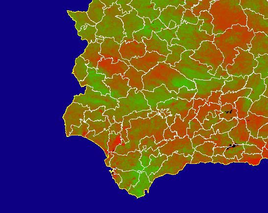 Imagen del NDVI medio mensual: Índices de vegetación medios del mes