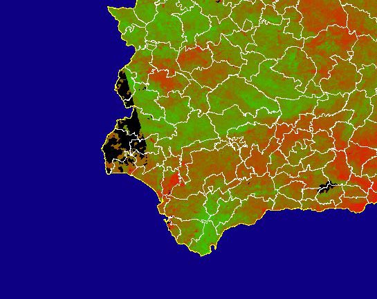 Imagen del NDVI medio mensual: Índices de vegetación medios del mes