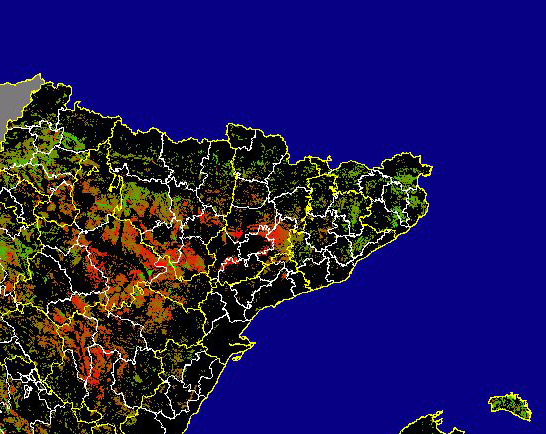 Imagen de Diferencias NDVI: Comparativa entre los índices de vegetación del mes de Enero del año actual y los de la media histórica - Noreste