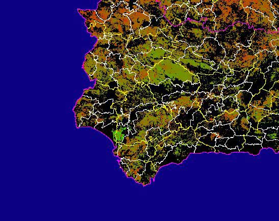 Imagen de las Diferencias acumuladas NDVI: Comparativa entre los índices de vegetación acumulados de enero a mayo (a junio en el mes de julio) del año actual y los de la media histórica