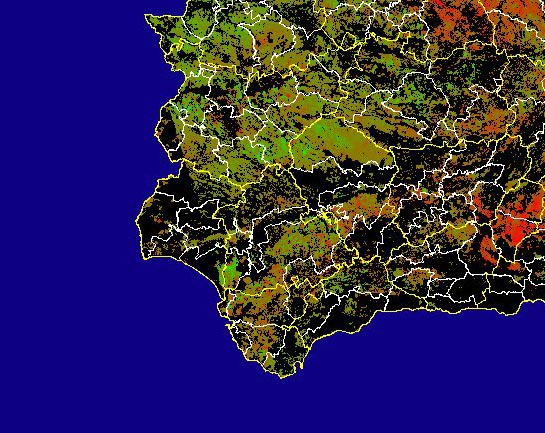 Imagen de Diferencias acumuladas NDVI: Comparativa entre los índices de vegetación acumulados de enero a mayo del año actual y los de la media histórica