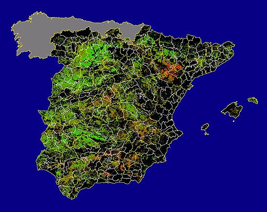 Imagen de las Diferencias acumuladas NDVI: Comparativa entre los índices de vegetación acumulados de enero a mayo del año actual y los de la media histórica