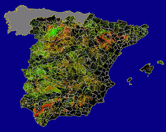 Imagen de Diferencias NDVI: Comparativa entre los índices de vegetación del mes de Enero del año actual y los de la media histórica