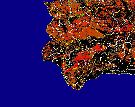 Imagen de las Diferencias NDVI: Comparativa entre los índices de vegetación del mes de Junio del año actual y los de la media histórica