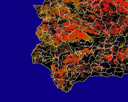 Imagen de las Diferencias NDVI: Comparativa entre los índices de vegetación del mes de Junio del año actual y los de la media histórica