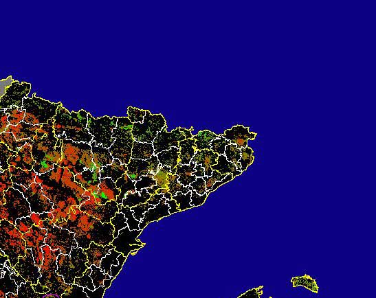 Imagen de las Diferencias NDVI: Comparativa entre los índices de vegetación del mes de Junio del año actual y los de la media histórica