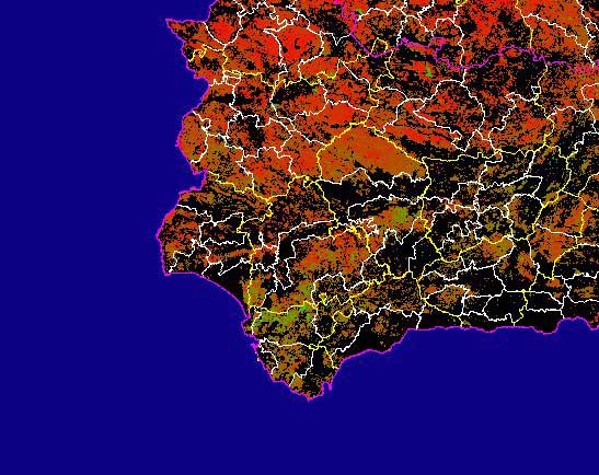 Imagen de las Diferencias NDVI: Comparativa entre los índices de vegetación del mes de Junio del año actual y los de la media histórica