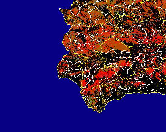 Imagen de Diferencias NDVI: Comparativa entre los índices de vegetación del mes de Marzo del año actual y los de la media histórica - Suroeste