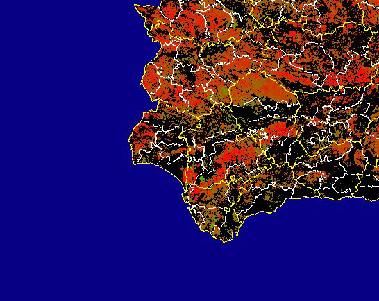 Imagen de Diferencias NDVI: Comparativa entre los índices de vegetación del mes de Mayo del año actual y los de la media histórica