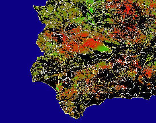 Imagen de Diferencias NDVI: Comparativa entre los índices de vegetación del mes de Mayo del año actual y los de la media histórica