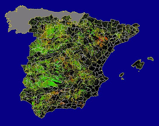 Imagen de las Diferencias NDVI: Comparativa entre los índices de vegetación del mes de Mayo del año actual y los de la media histórica