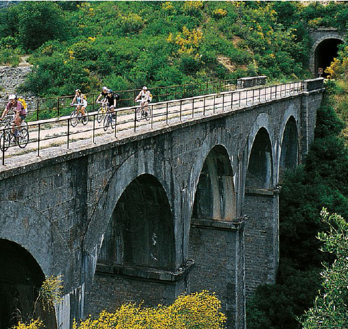 Estudio de uso e impacto de Caminos Naturales-Vías Verdes del PNDR