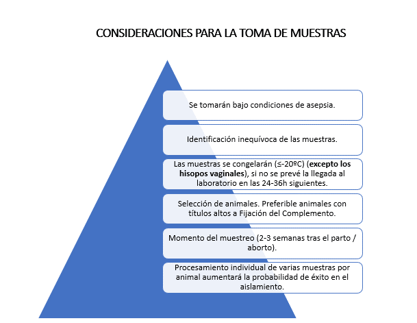 consideraciones para la toma de muestras