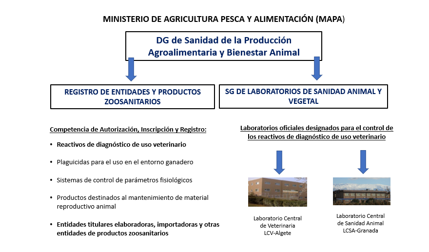 quién lo realiza