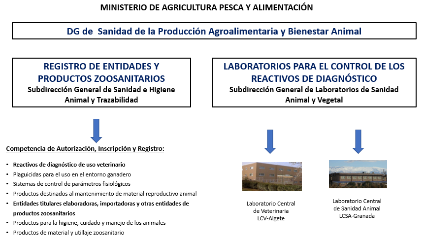 Quién lo realiza