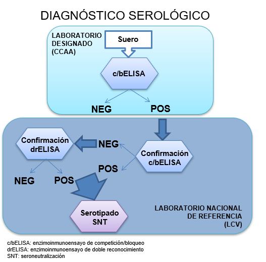 Diagnóstico serológico