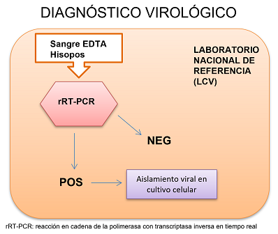 diagnóstico virológico