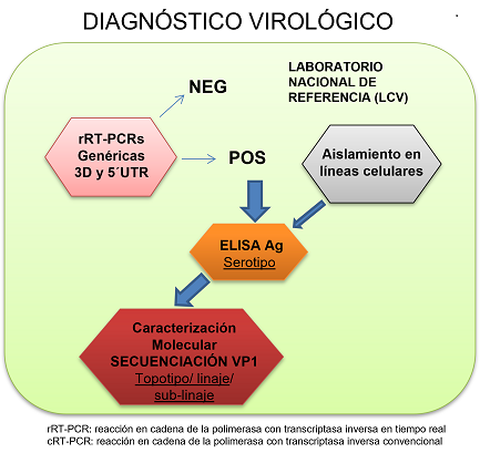 Diagnostico Virológico