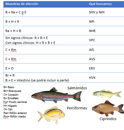 Sospechas clinicas