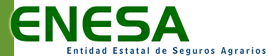 imagen logo enesa